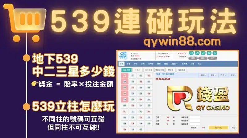地下539玩法
